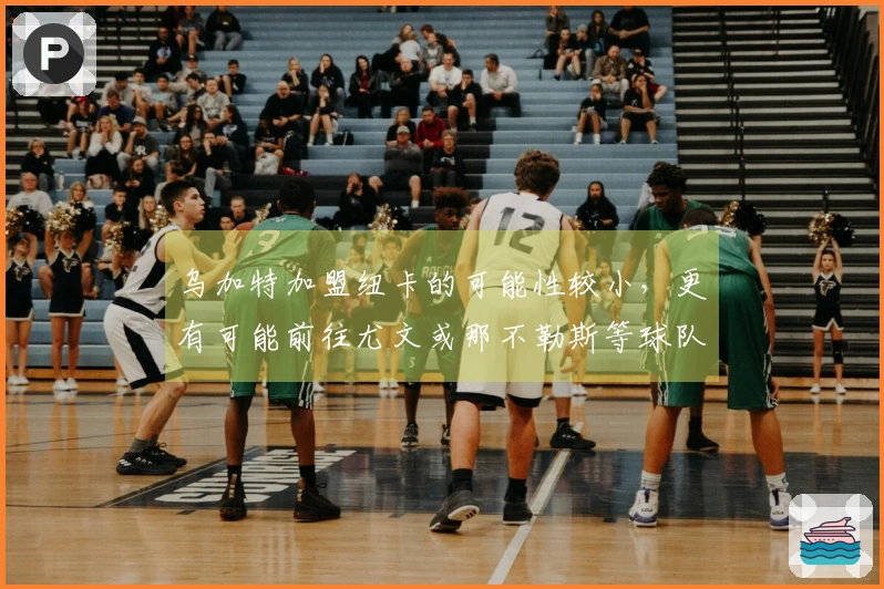 乌加特加盟纽卡的可能性较小，更有可能前往尤文或那不勒斯等球队