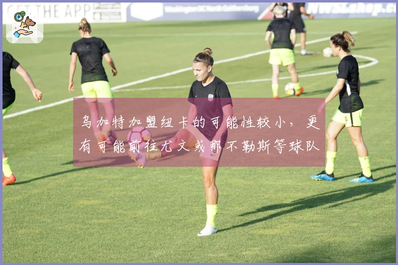 乌加特加盟纽卡的可能性较小，更有可能前往尤文或那不勒斯等球队
